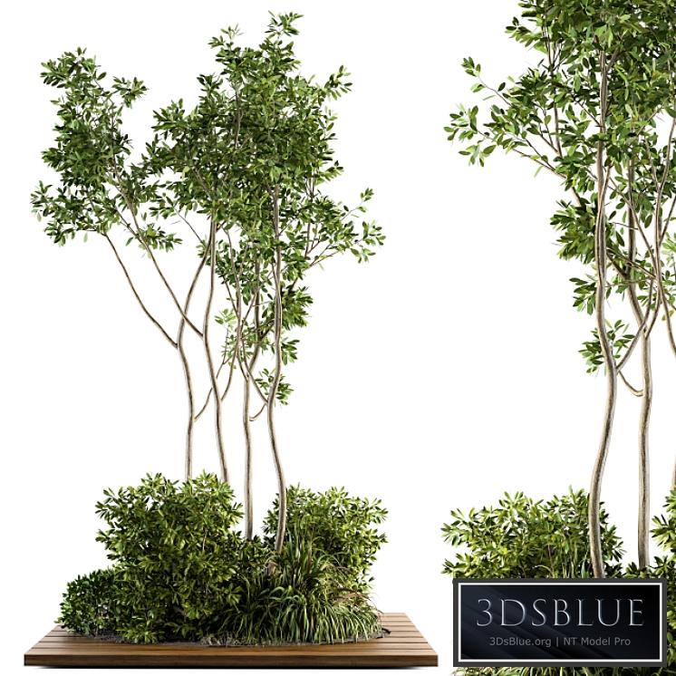 Garden set bush and Tree - Garden Set 04