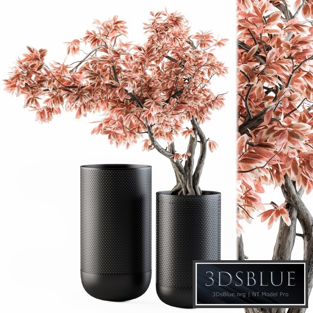 Bouquet Set 17 - Pink Bonsai