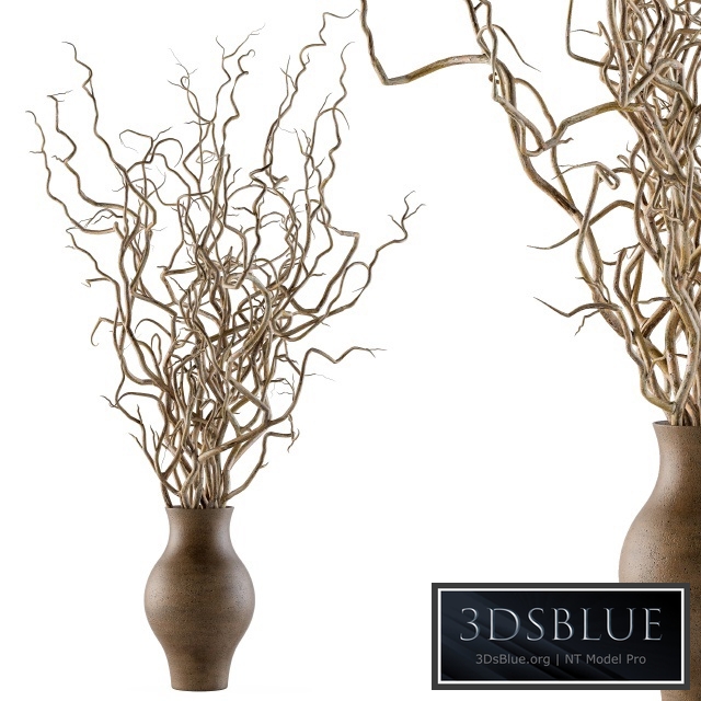 Bouquet Set 19 - Dried twisted branches