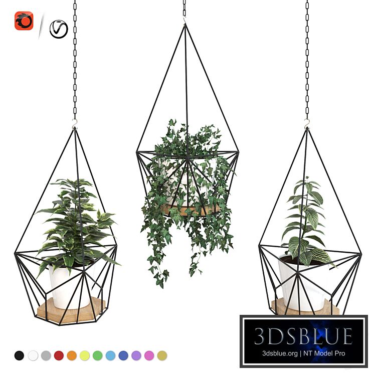 Plants in hanging planters ARCHPOLE Shuttle2