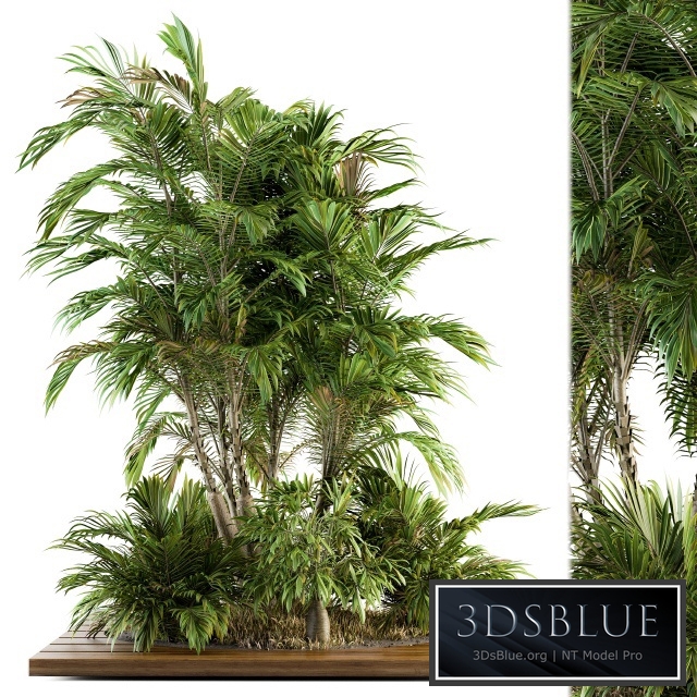 Garden set Tropical bush and Tree - Garden Set 05