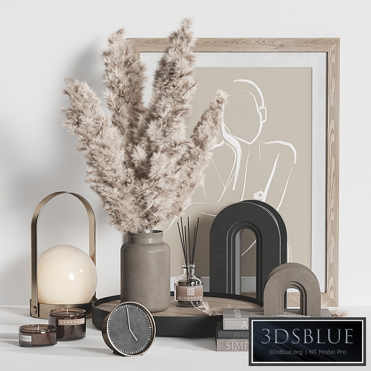 Decorative Set Dried Plant