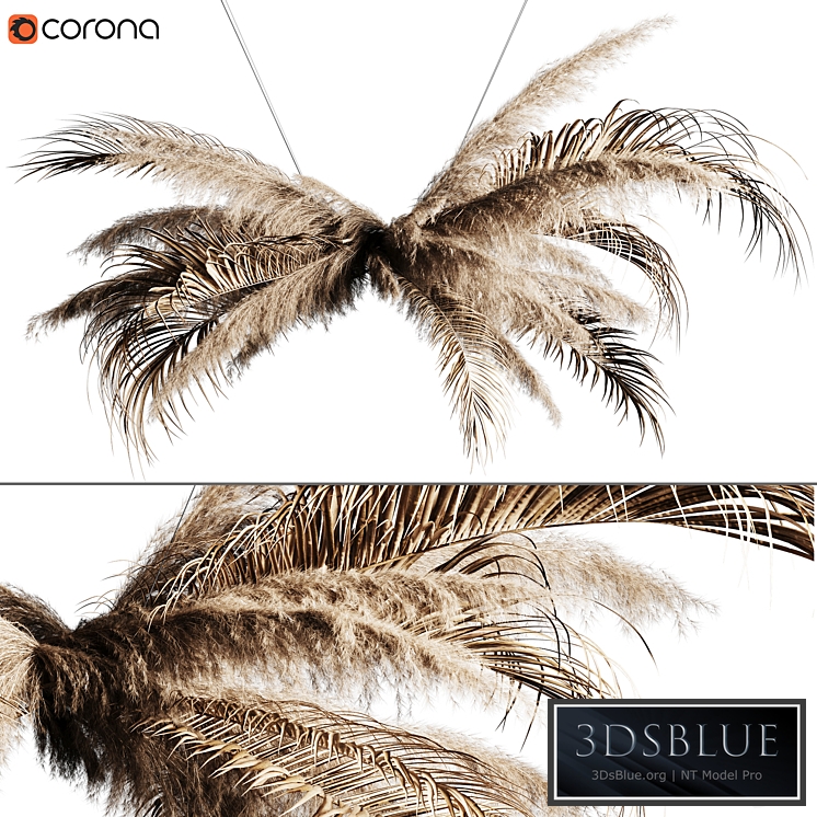 Pampas grass chandelier 02