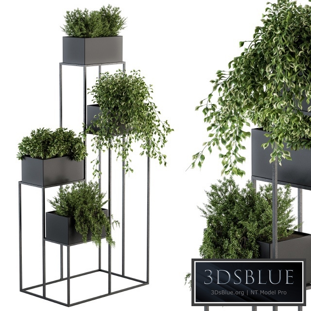 indoor Plant Set 100 - Black stand