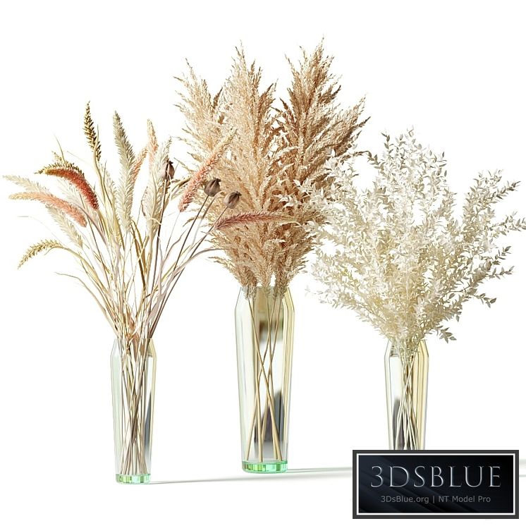 Bouquets of dried flowers in glass vases - set 1