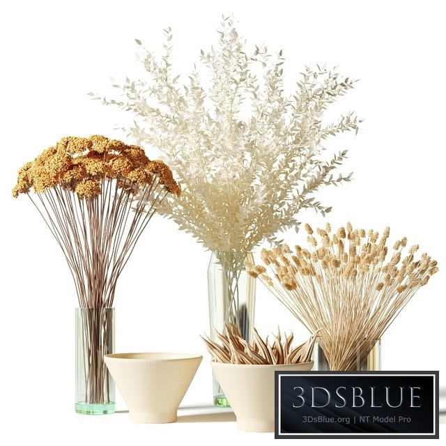Bouquets of dried flowers in glass vases - set 2