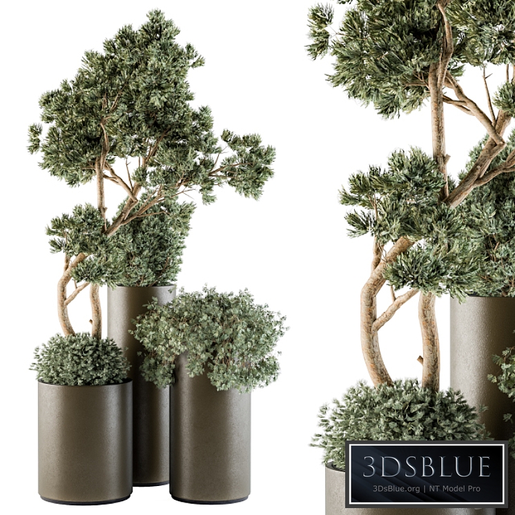 Outdoor Plants tree in Metal Pot - Set 102