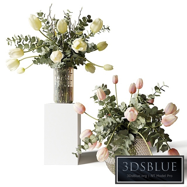 Bouquets of eucalyptus and tulips in glass vases