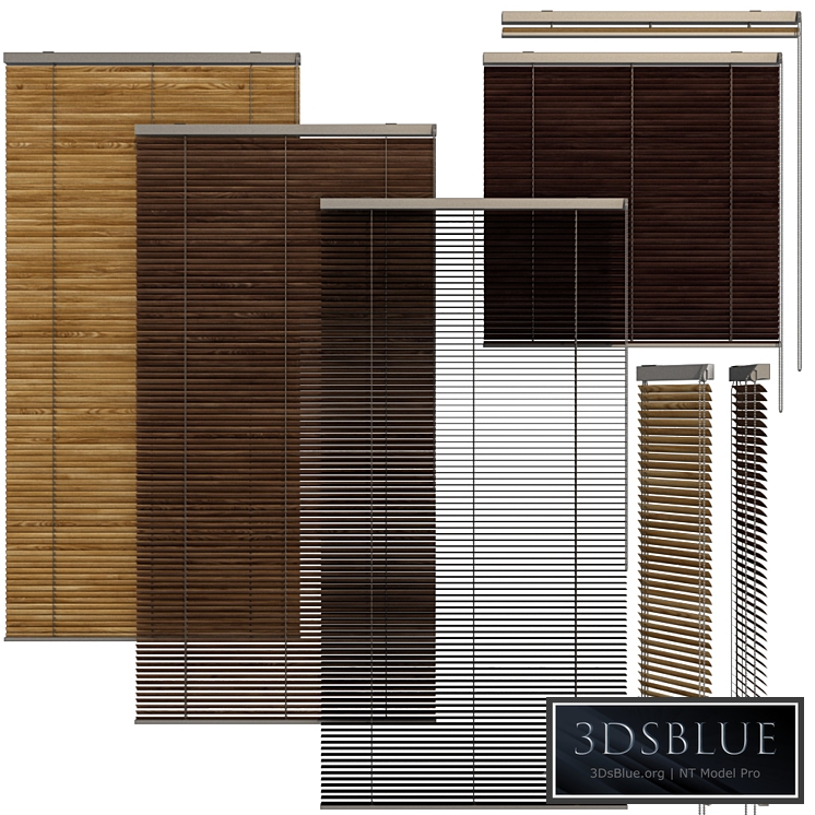 Shutter for windows and doors