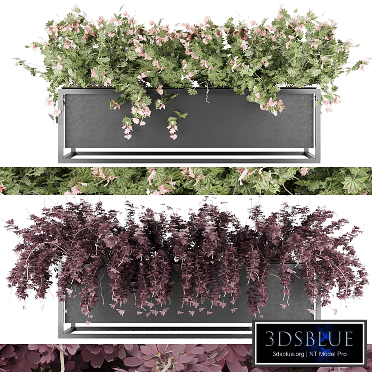 Collection plant vol 15