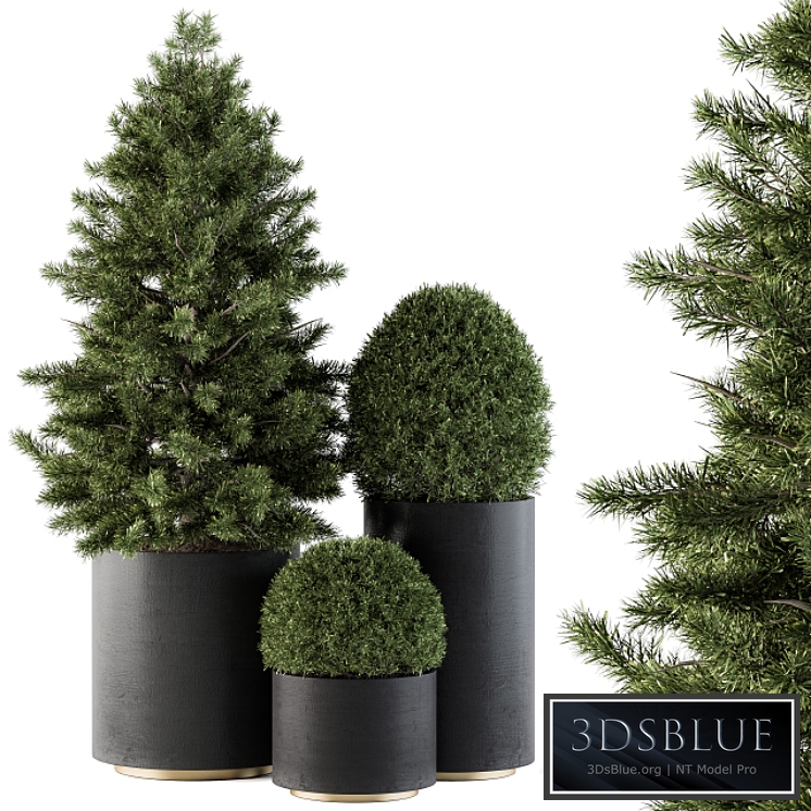 Outdoor Plants tree in Concrete Pot - Set 110