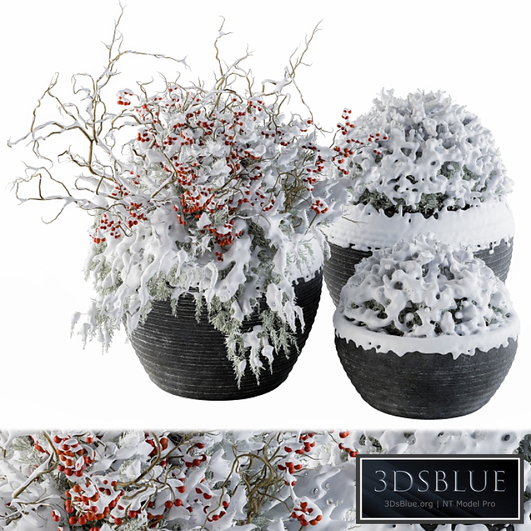 Outdoor Plants tree in Concrete Pot Snow - Set 107