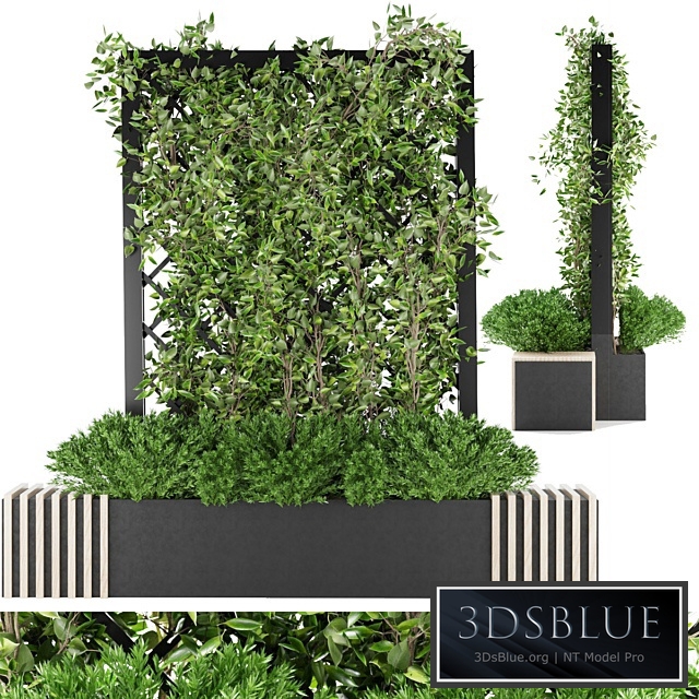 Collection plant vol 16