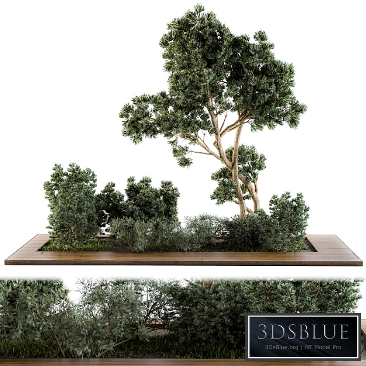 Garden set bush and Tree - Garden Set 06