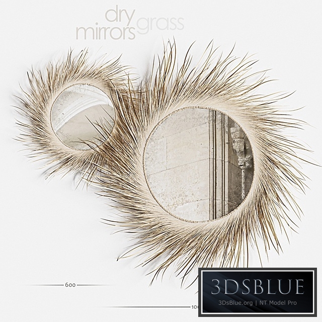 Mirror Dry Grass