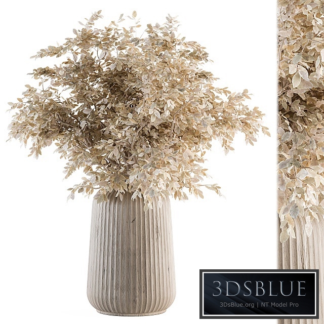 Dry plants 46 - Dried Plant Bouquet