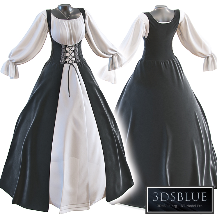 Classic women&#39;s dress
