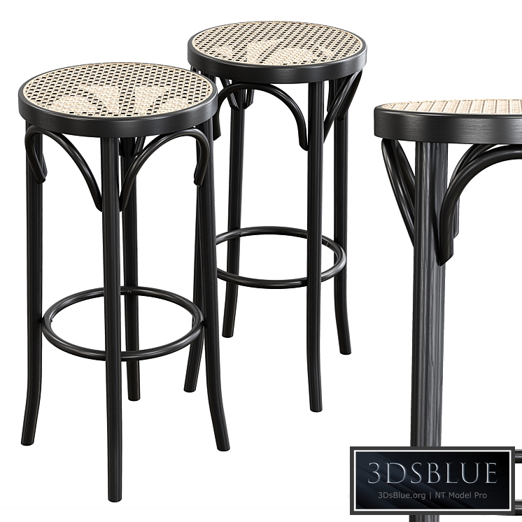 Pamono - Mid-Century Cane & Bentwood Stools by Michael Thonet