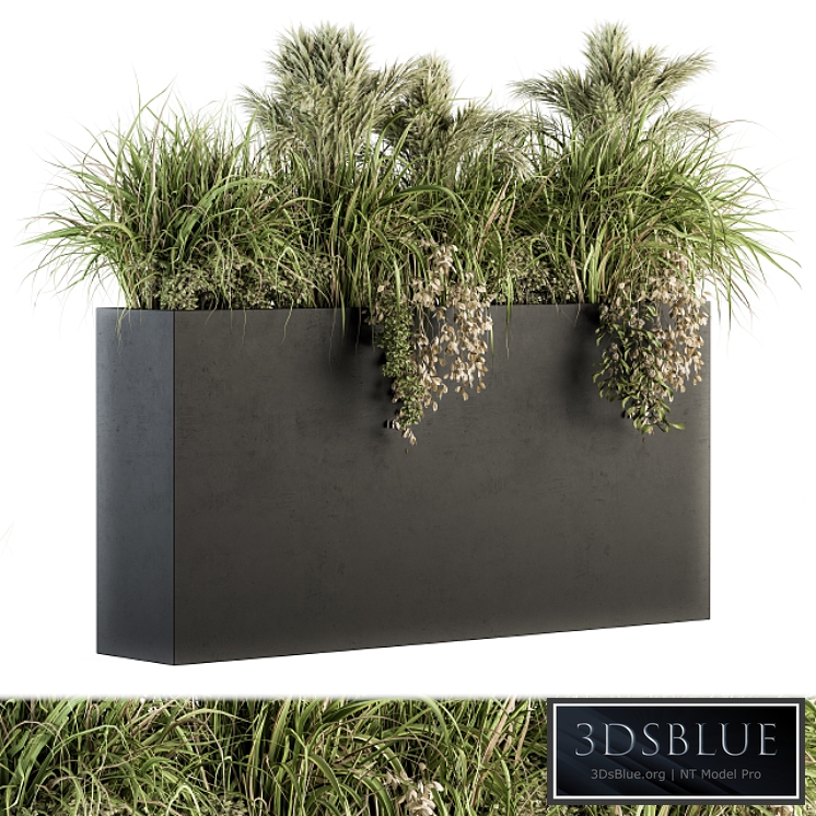 Outdoor Plants tree in Plant box - Set 124