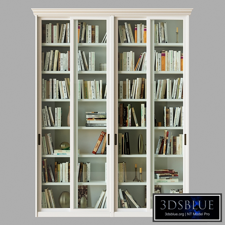 Bookcase-compartment (library)