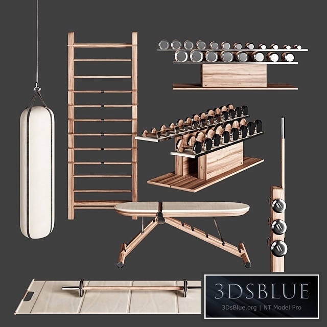 PENT. luxury fitness equipment