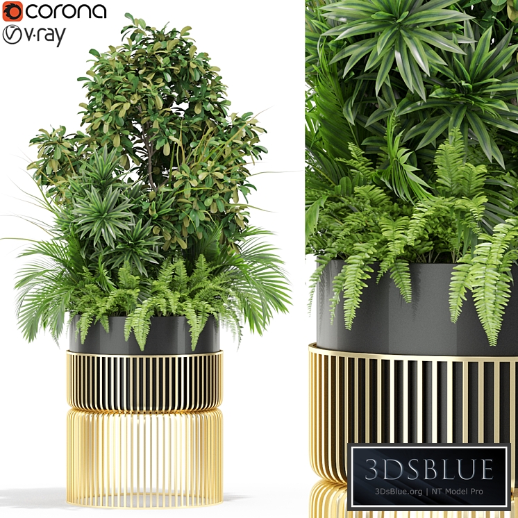 Plants collection 432