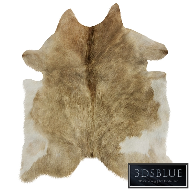 European Rug Cowhide 13