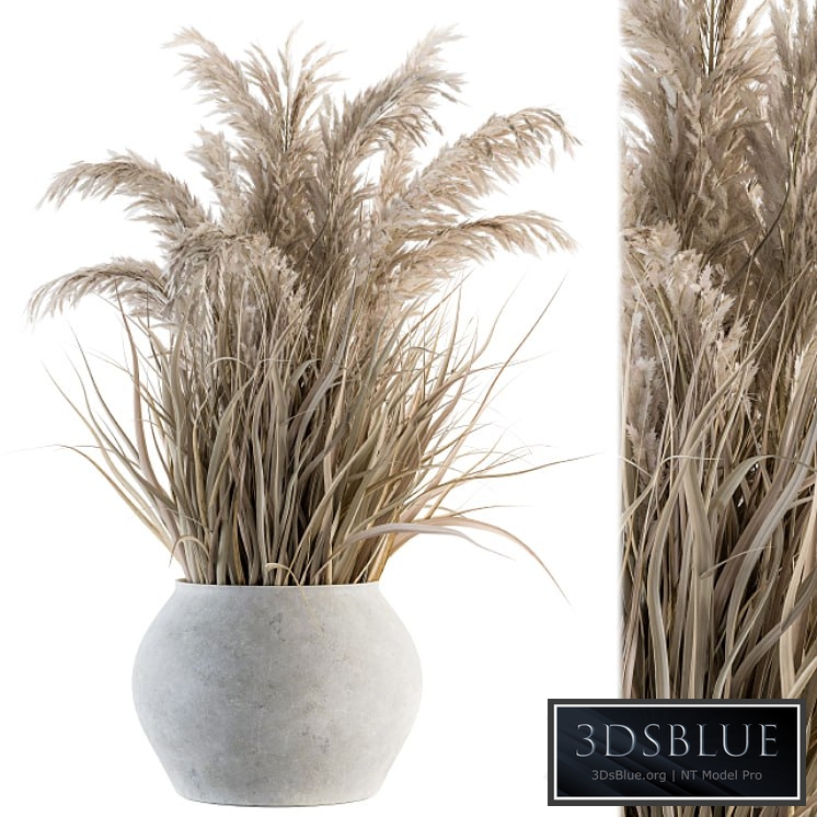 indoor Plant Set 115 - Dried Plant