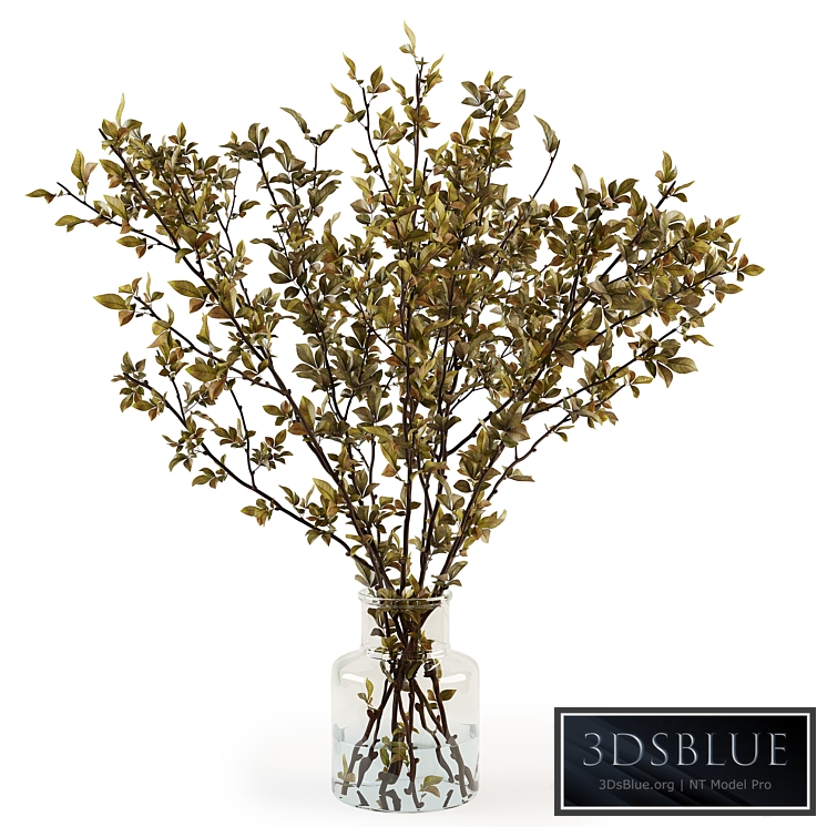 Branches in a vase 013