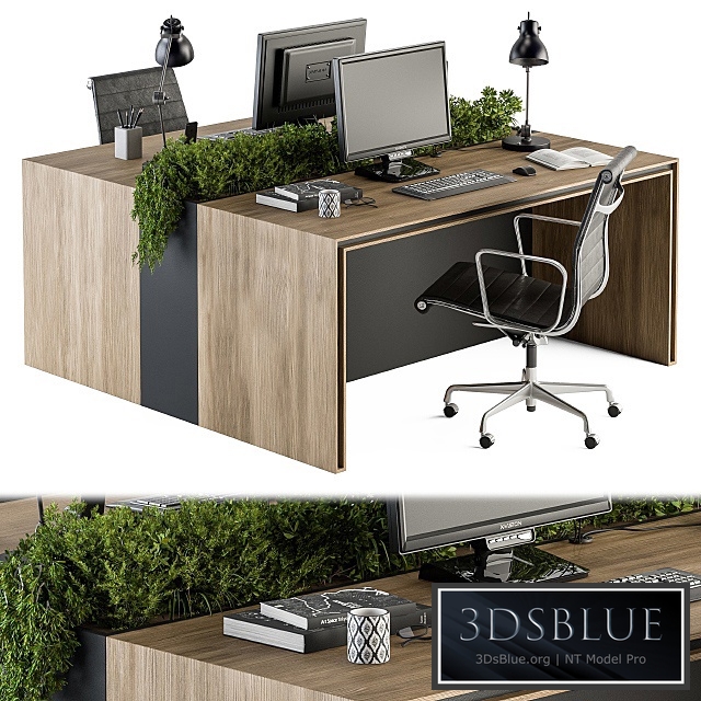 Office Furniture - employee Set 17