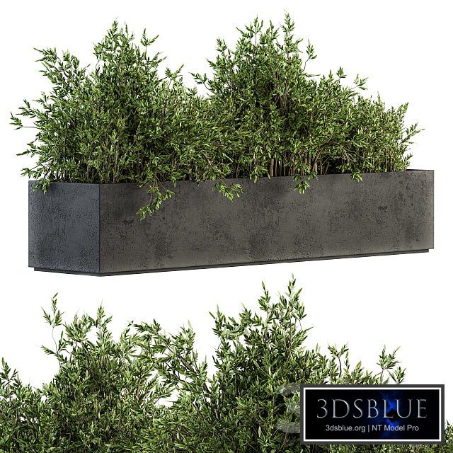 Outdoor Plants tree in Concrete Box - Set 126
