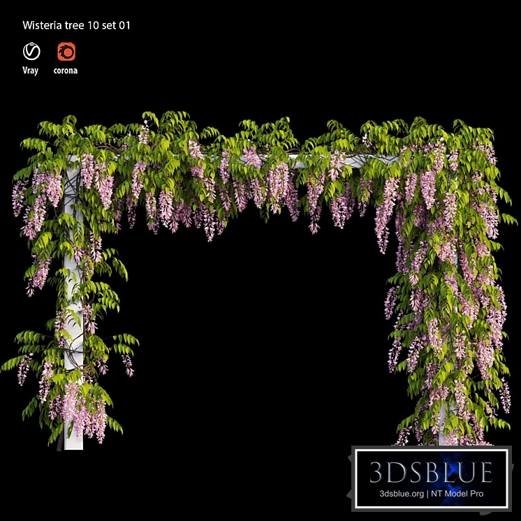 wisterial tree 10 set 01