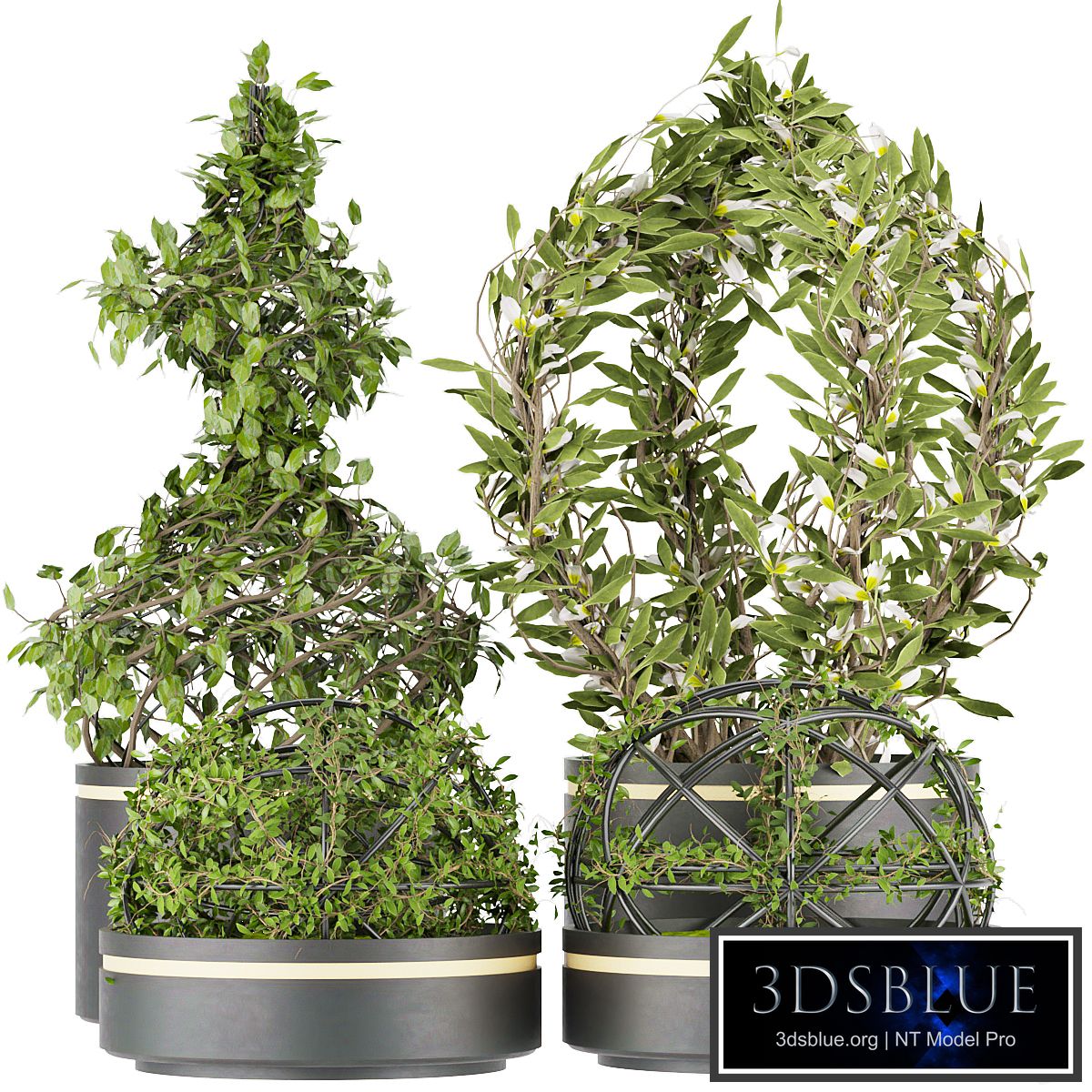 Collection plant vol 32