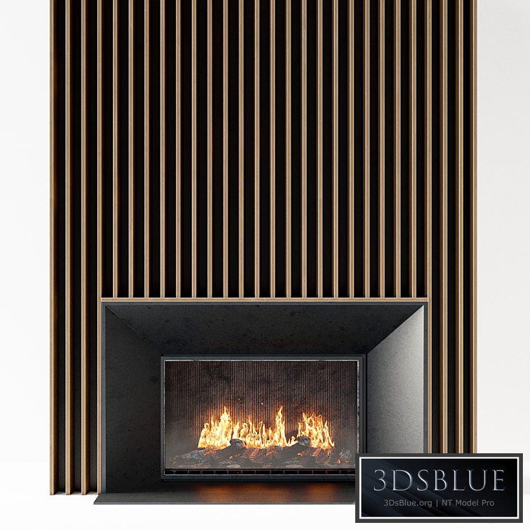 Fireplace modern 58