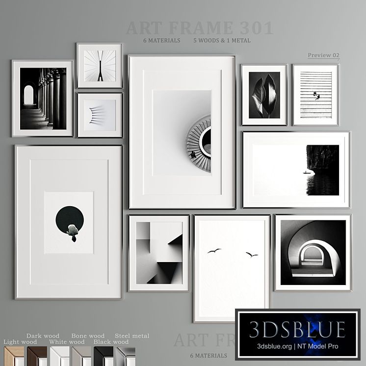 Art Frame 301