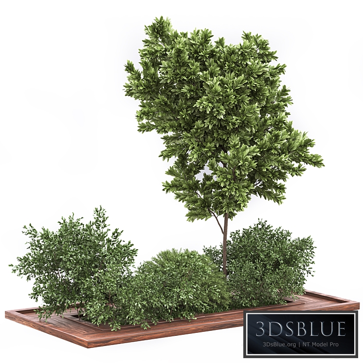 Garden set bush and Tree_Set01