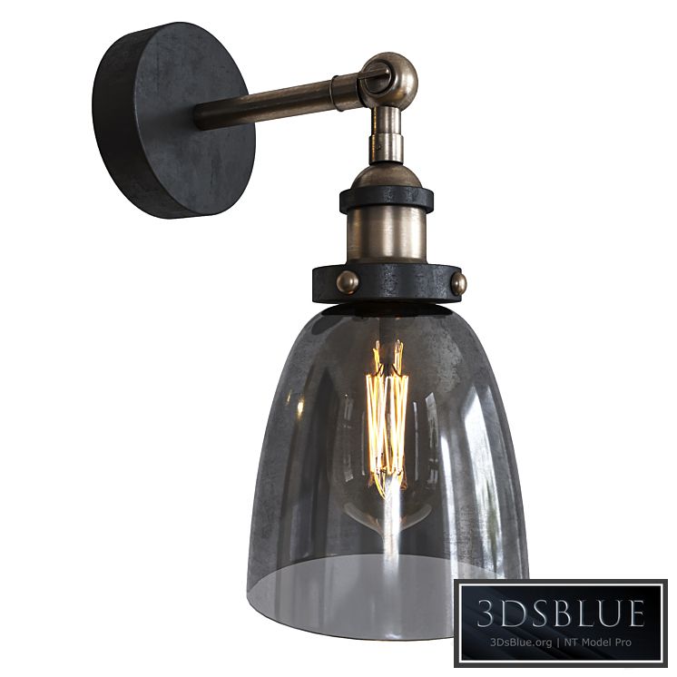 Smoke Glass cloche Wall Lamp