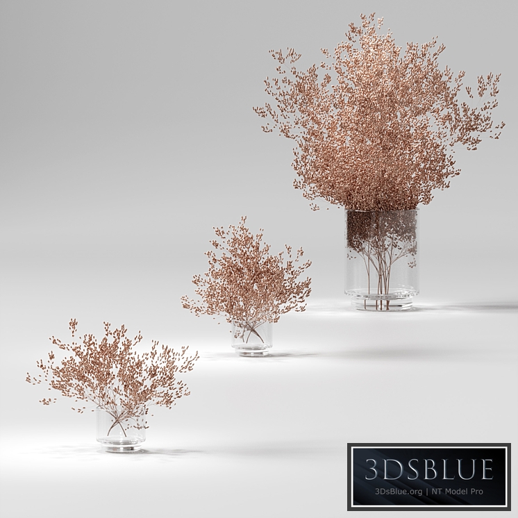 Dry plants set. 3 models