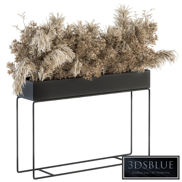 indoor Plant Set 117 - Dried Plant box