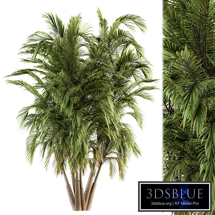 Tree Green Palm bunch - Set 32