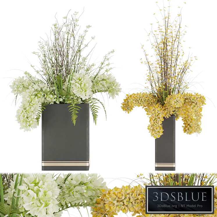 Collection plant vol 56