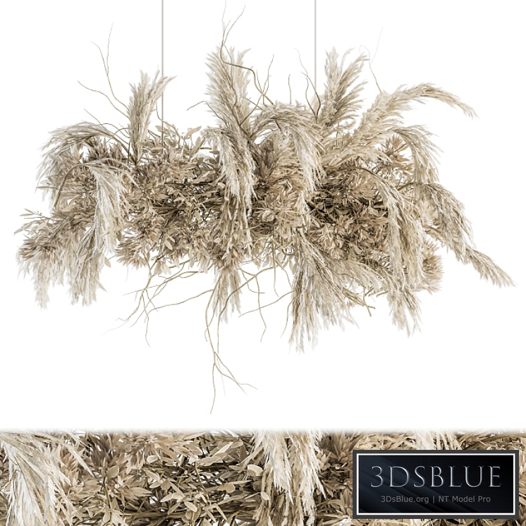 indoor Plant Set 121 - Dried Plant Hanging