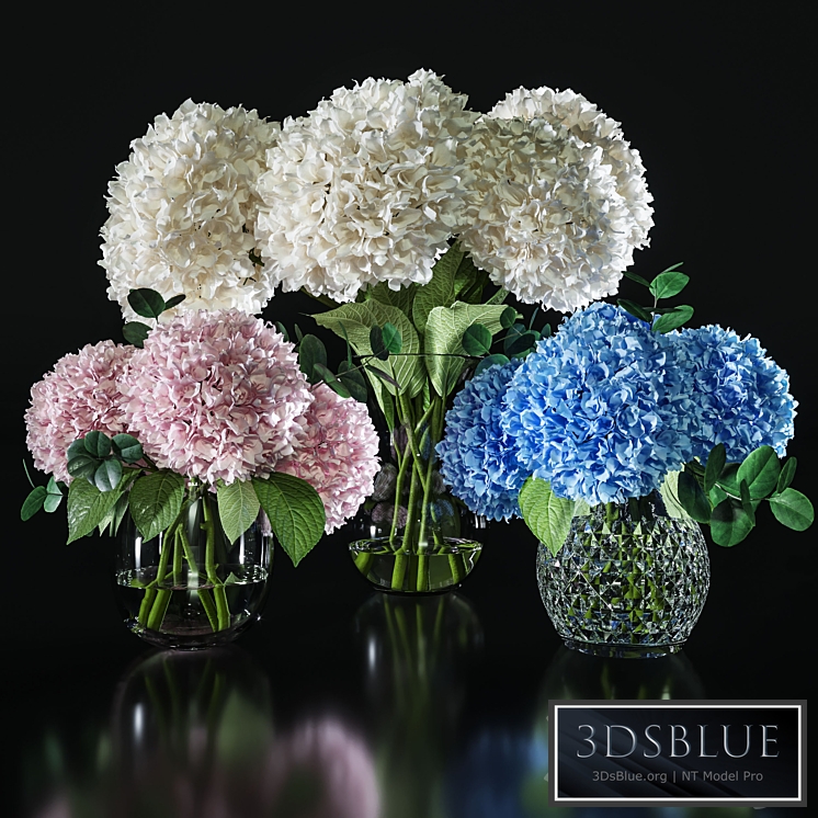Hydrangea set 001