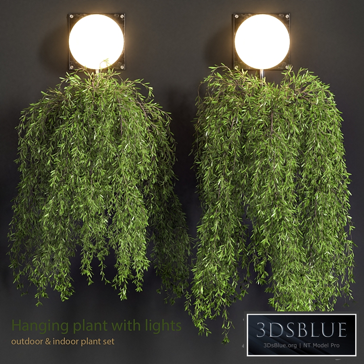 Hanging Plant with Lights