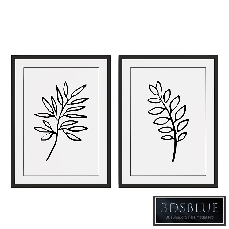 Set of pictures with plants.