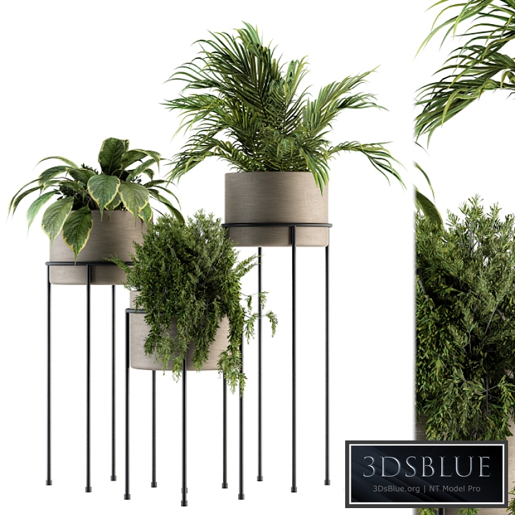 indoor Plant Set 129 - Plant Stand