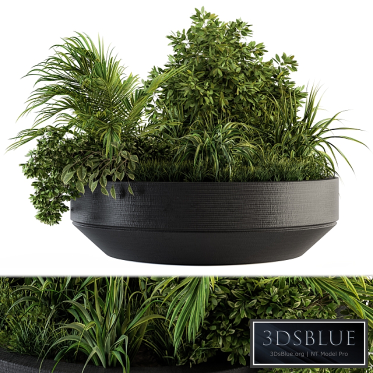 Outdoor Plants tree in Concrete Pot - Set 144