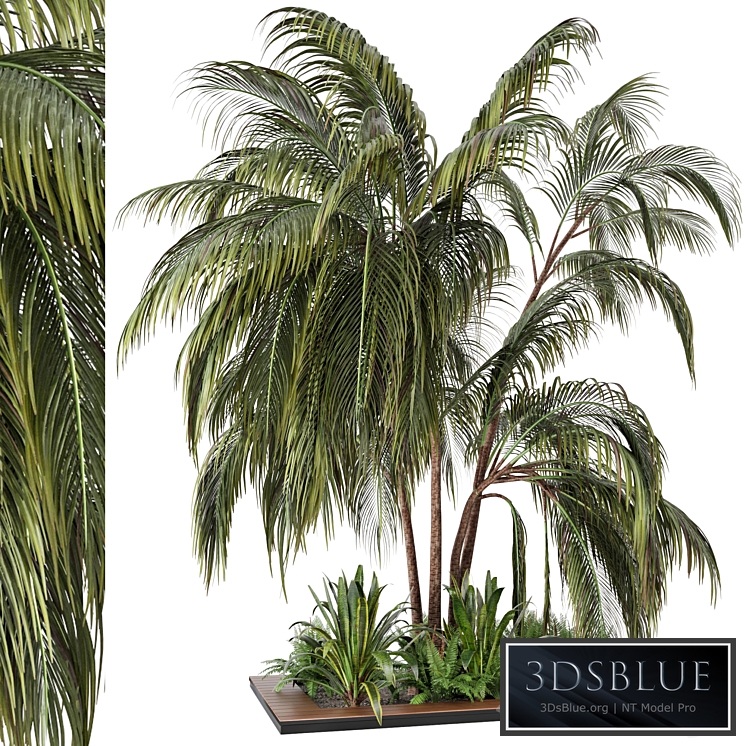 Outdoor Garden set bush and Tree - Garden Set 24