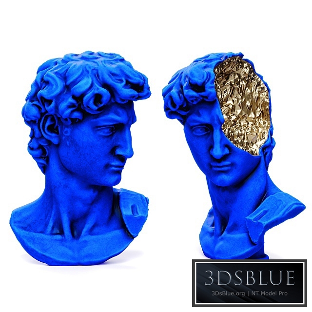 Bust of david michelangelo halfhead