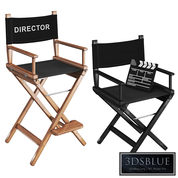 Director chair